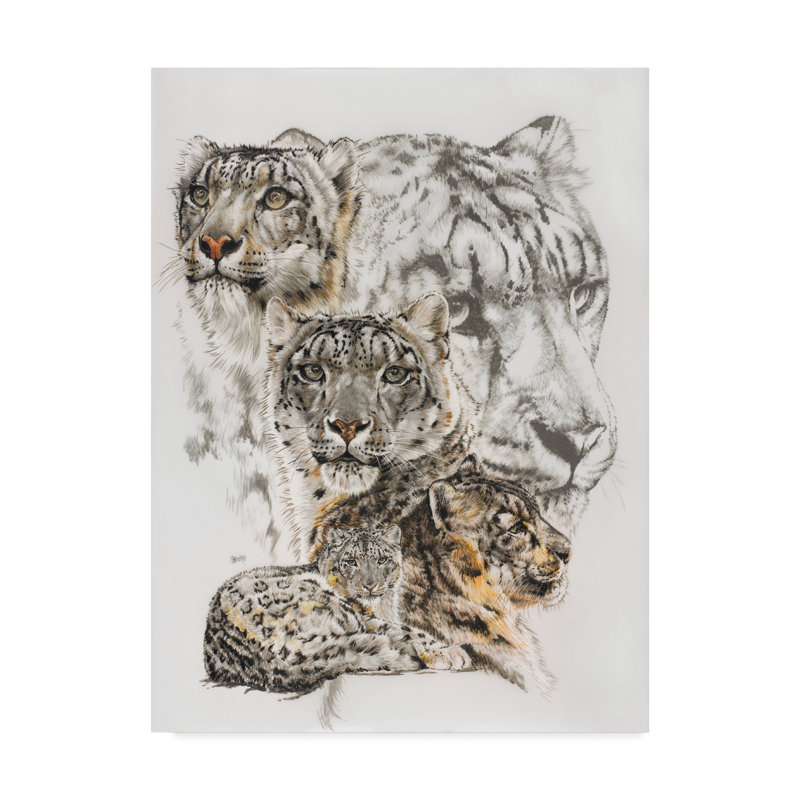 Trademark Art Snow Leopard And Ghost Oil Painting Print On