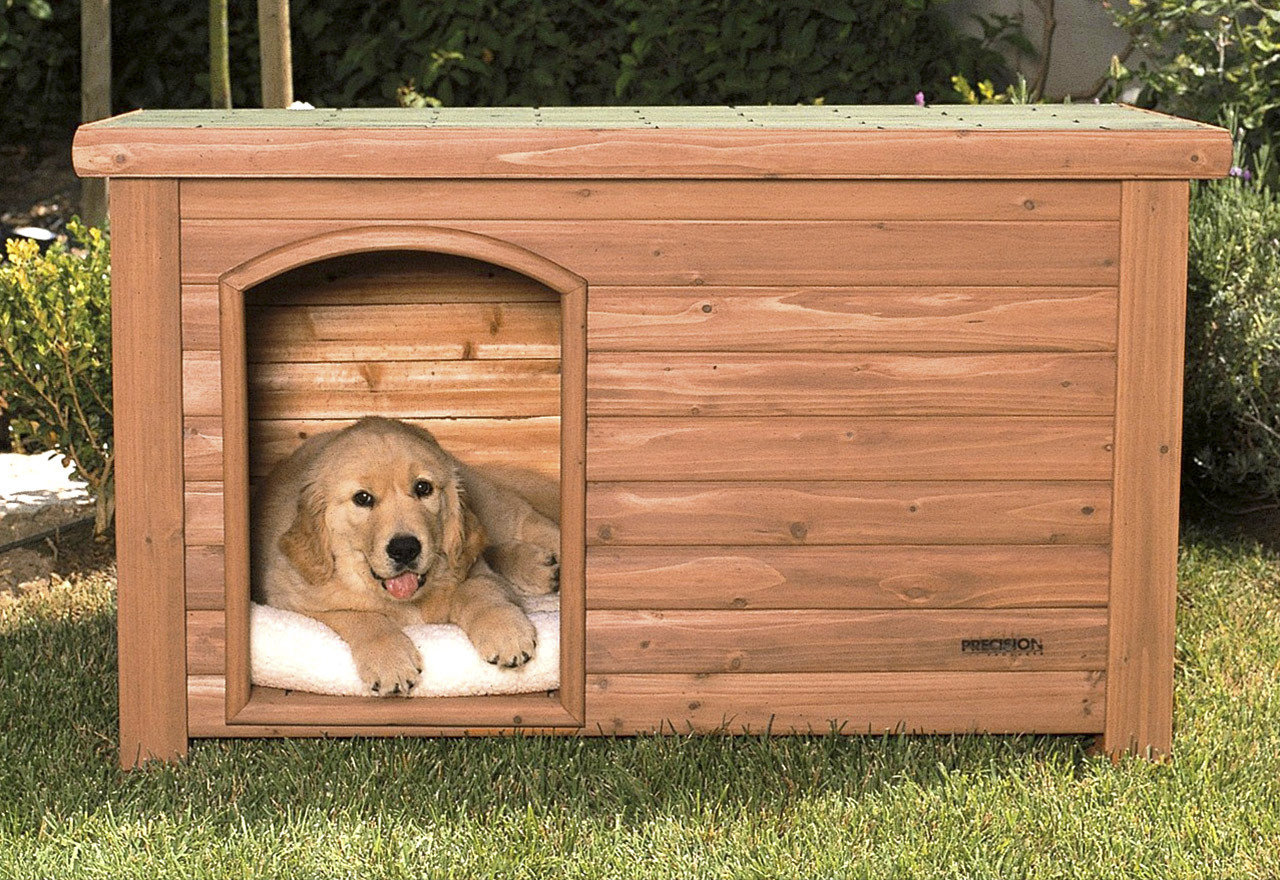 [BIG SALE] Houses, Coops & Animal Habitats You’ll Love In 2022 Wayfair