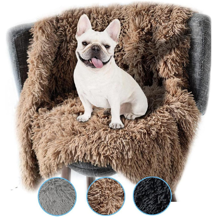 furry dog blanket