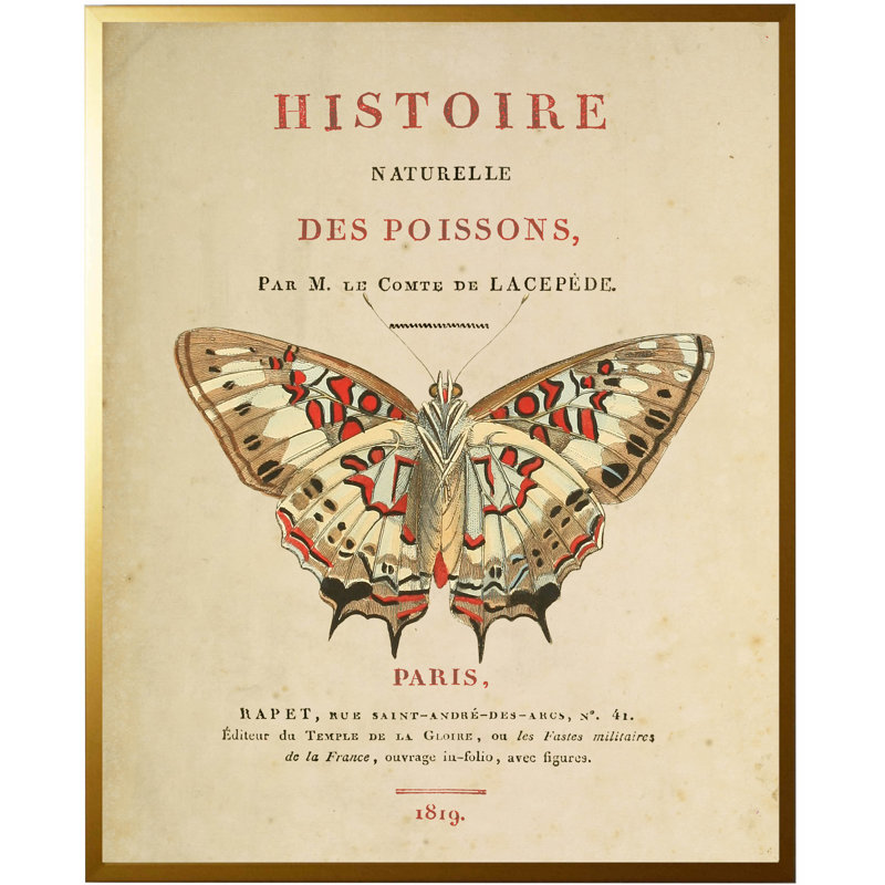 Winston Porter Butterfly On Book Title Page Framed Graphic Art
