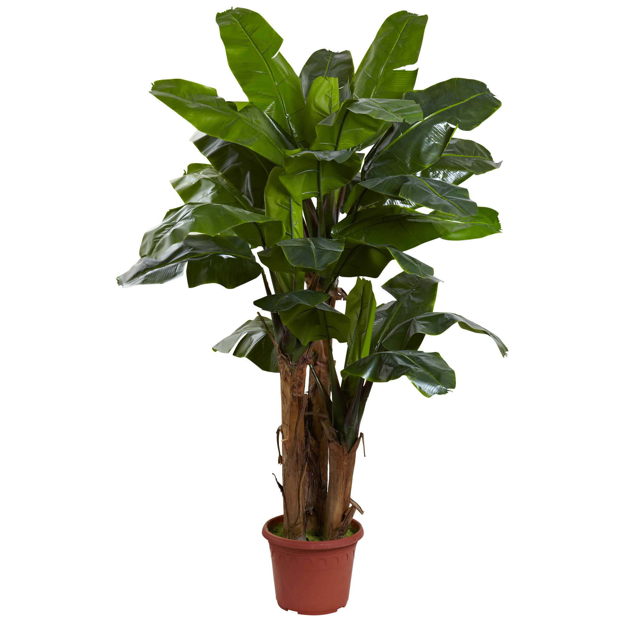 Charlton Home 84 Artificial Banana Leaf Tree In Planter Reviews