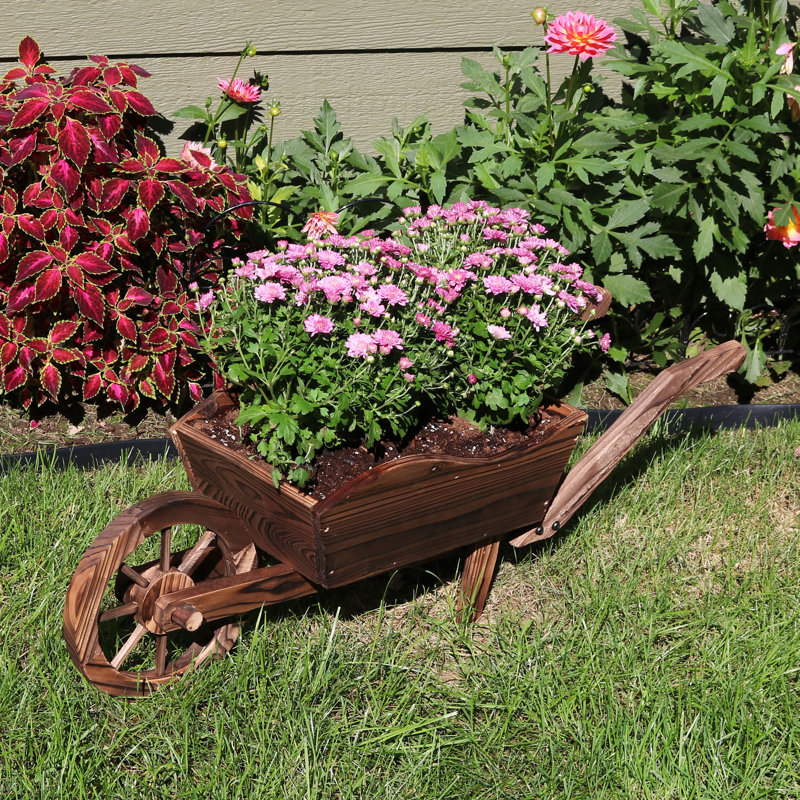 August Grove® Amarion Wooden Garden Wheelbarrow Planter