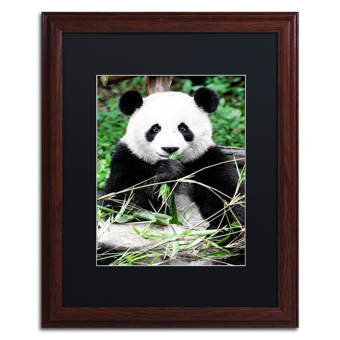 Trademark Art Giant Panda By Philippe Hugonnard Framed Photographic Print Wayfair