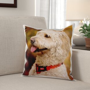 CAIRN TERRIER CUTE DOG ON A PILE OF CUSHION GREAT VINTAGE STYLE DOG PRINT POSTER 
