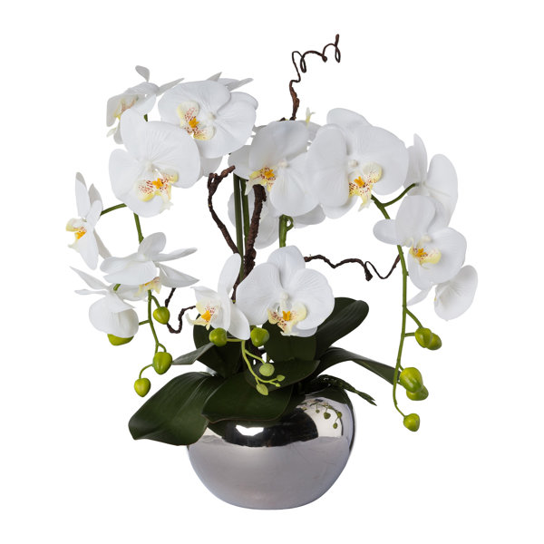 Set of 12 Nearly Natural 20in 20 In White Phalaenopsis Orchid Artificial Silk Flowers 