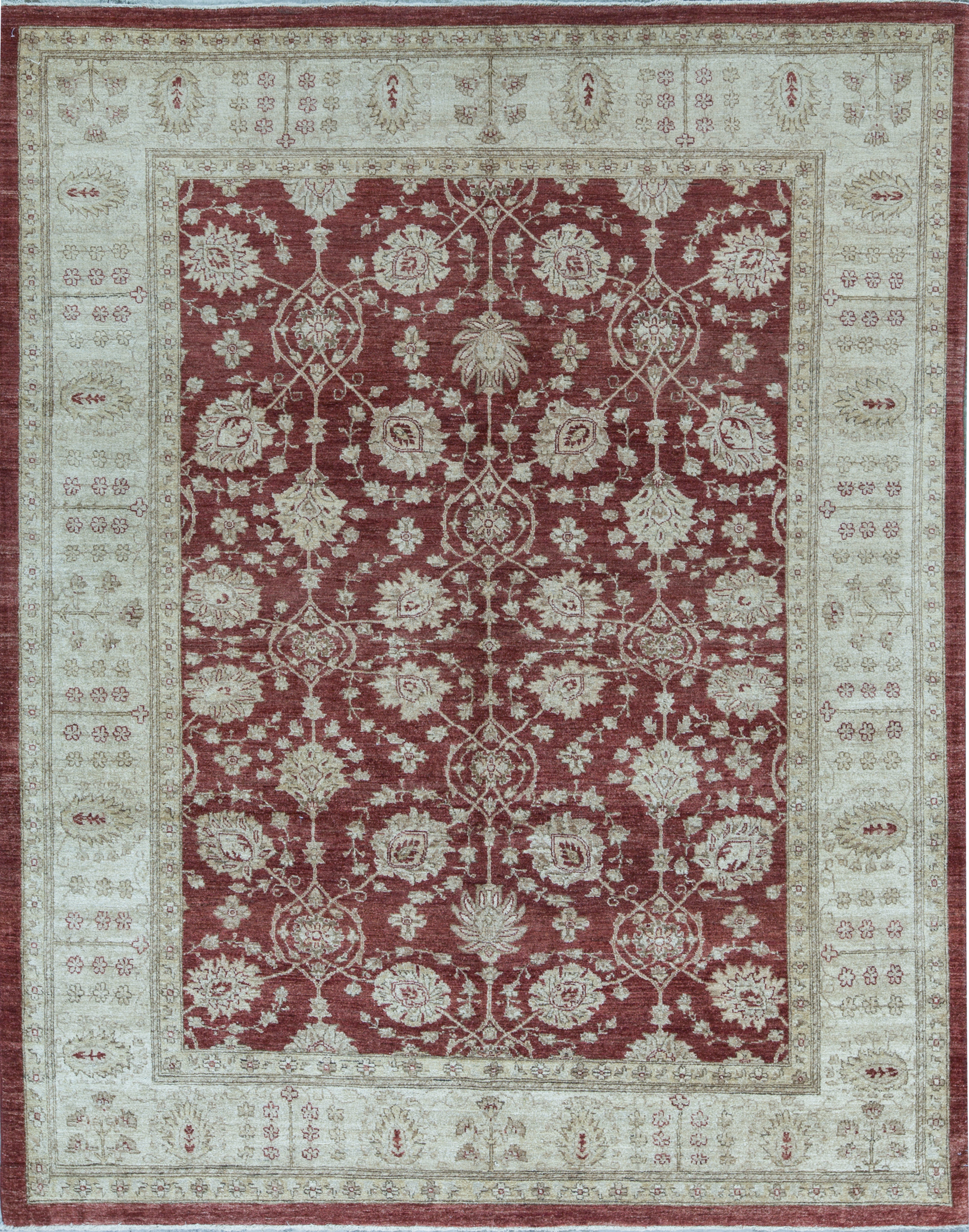 Bokara Rug Co Inc Ziegler Oriental Hand Knotted Wool Red Cream Area Rug Wayfair