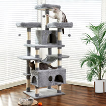 Cat Stand Wayfair