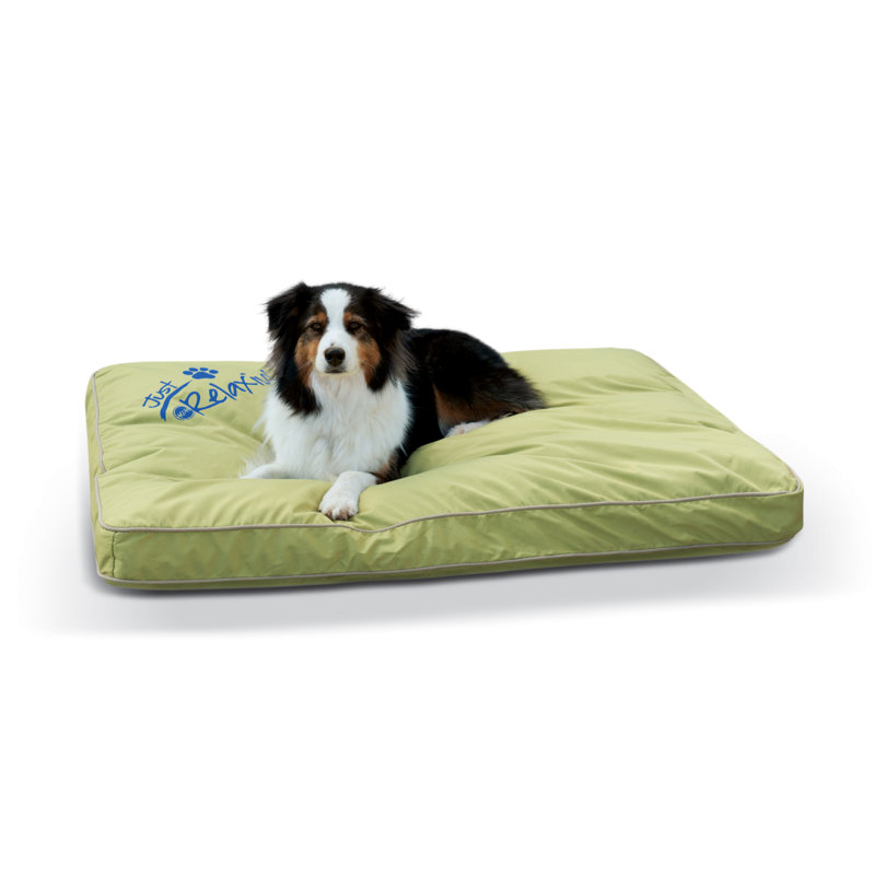 K&H Manufacturing Just Relaxin\' Indoor / Outdoor Dog Bed & Reviews ... K&H Manufacturing Just Relaxin\' Indoor / Outdoor Dog Bed & Reviews ...