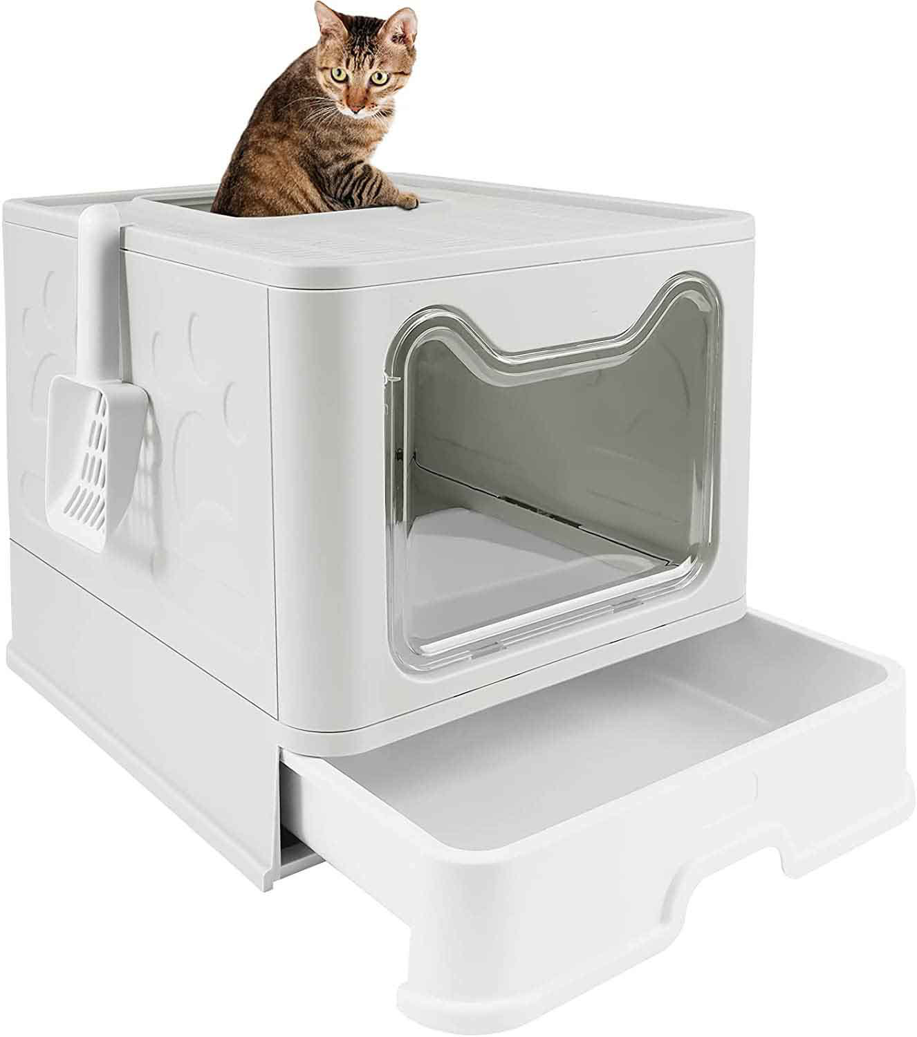 cat potty tray