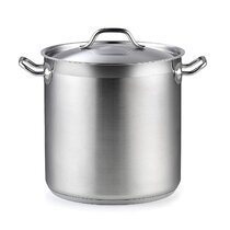 Large Stainless Steel Pot By Carrera - Wayfair Canada
