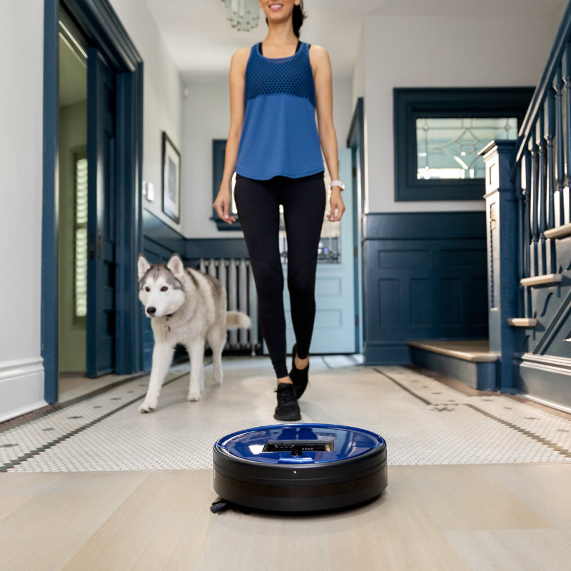 Bobsweep Pethair Plus Robotic Vacuum Cleaner With Mini Mop Attachment Reviews Wayfair