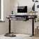 Inbox Zero Euri Height Adjustable Standing Desk & Reviews | Wayfair