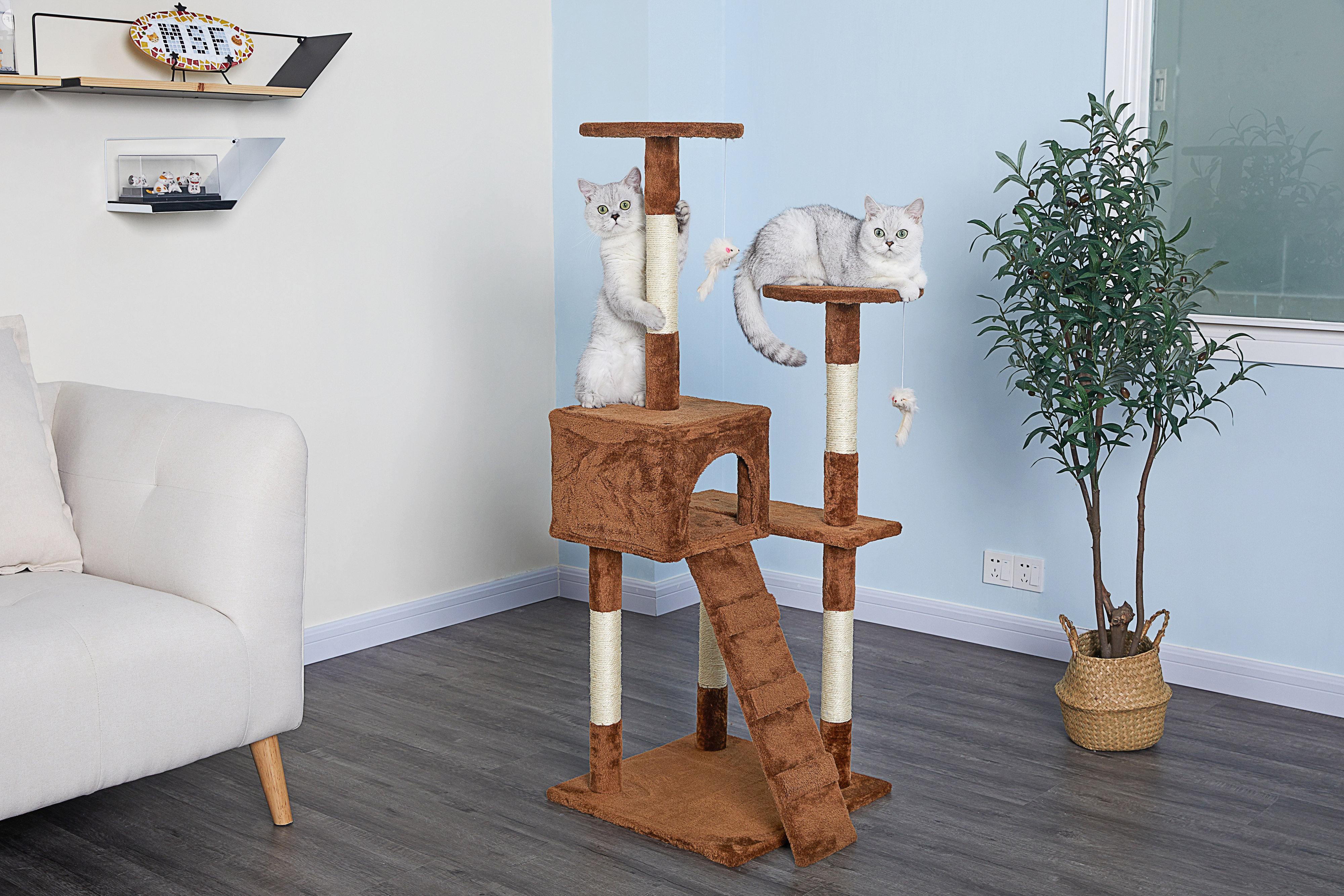 Archie & Oscar™ Economical Cat Tree & Reviews Wayfair