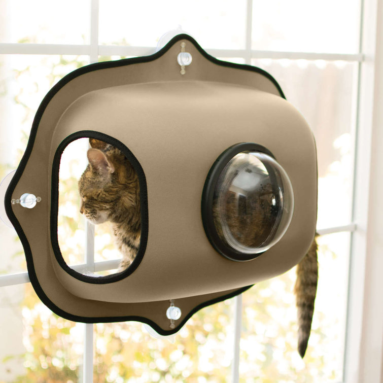 cat pod bed