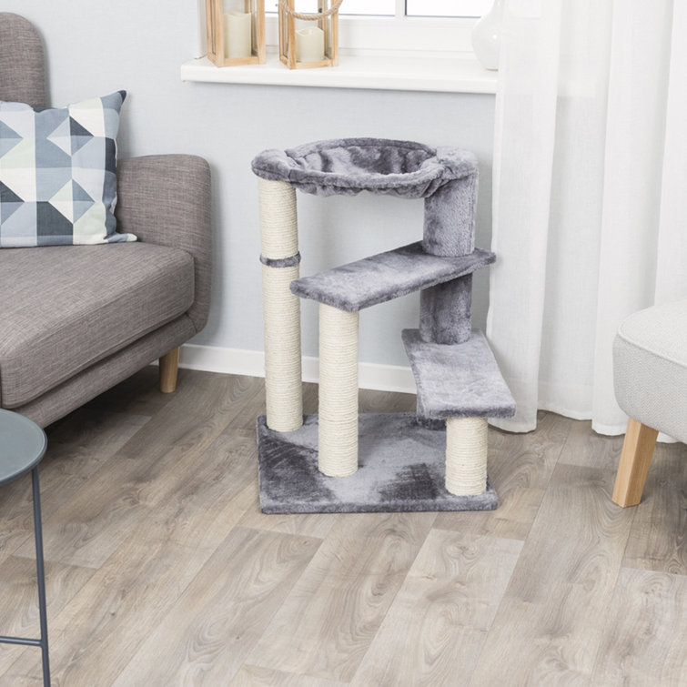 senior cat scratching post