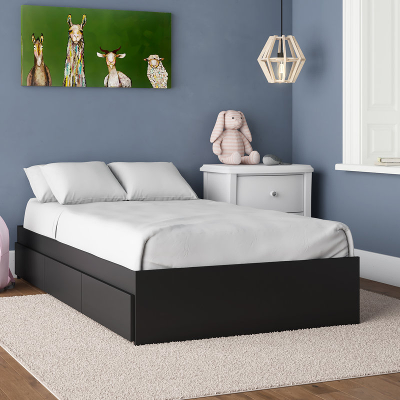 Mack Milo Acord Storage Platform Bed With Drawers