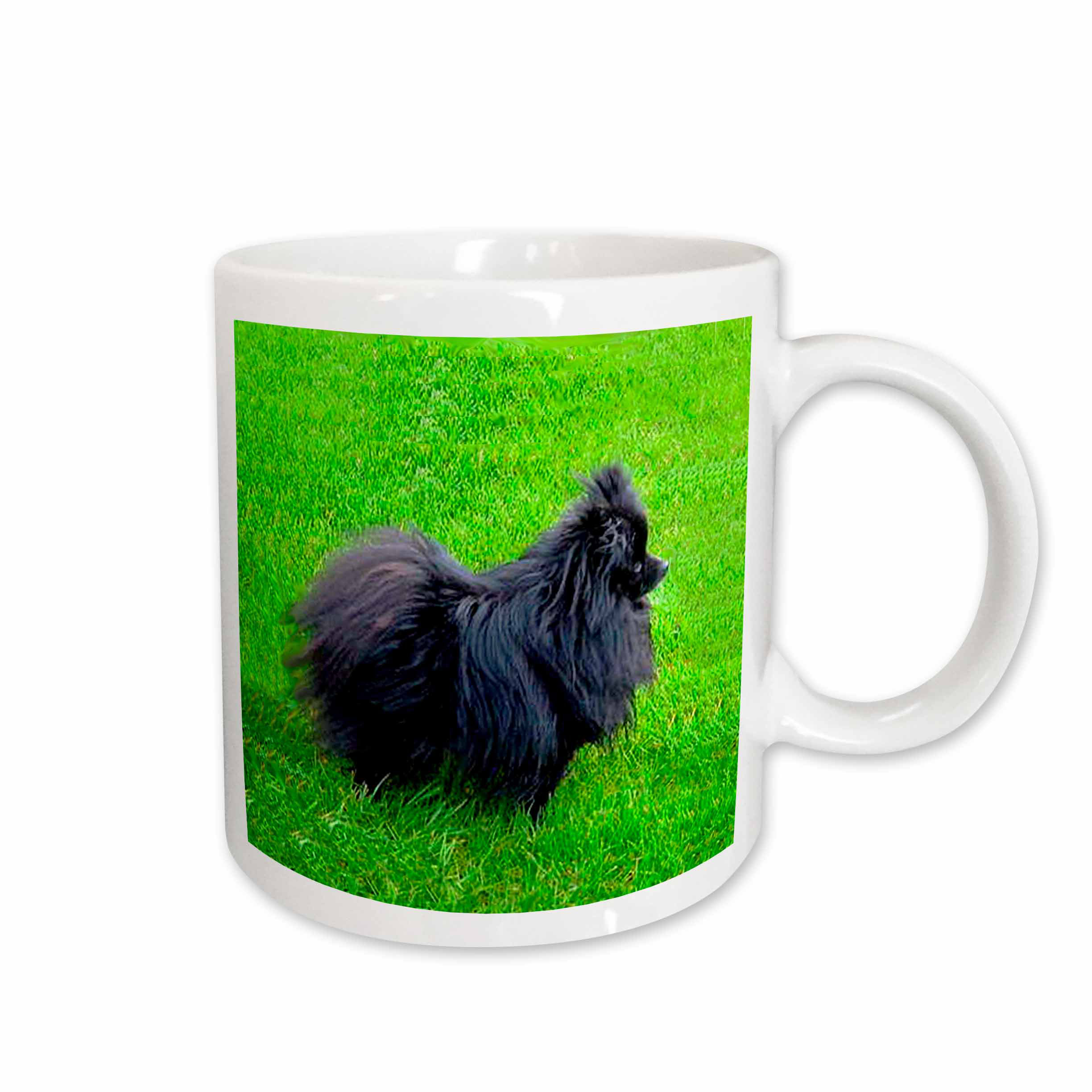 pomeranian coffee mug