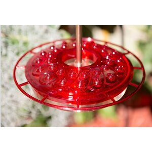 Hummingbird Feeder