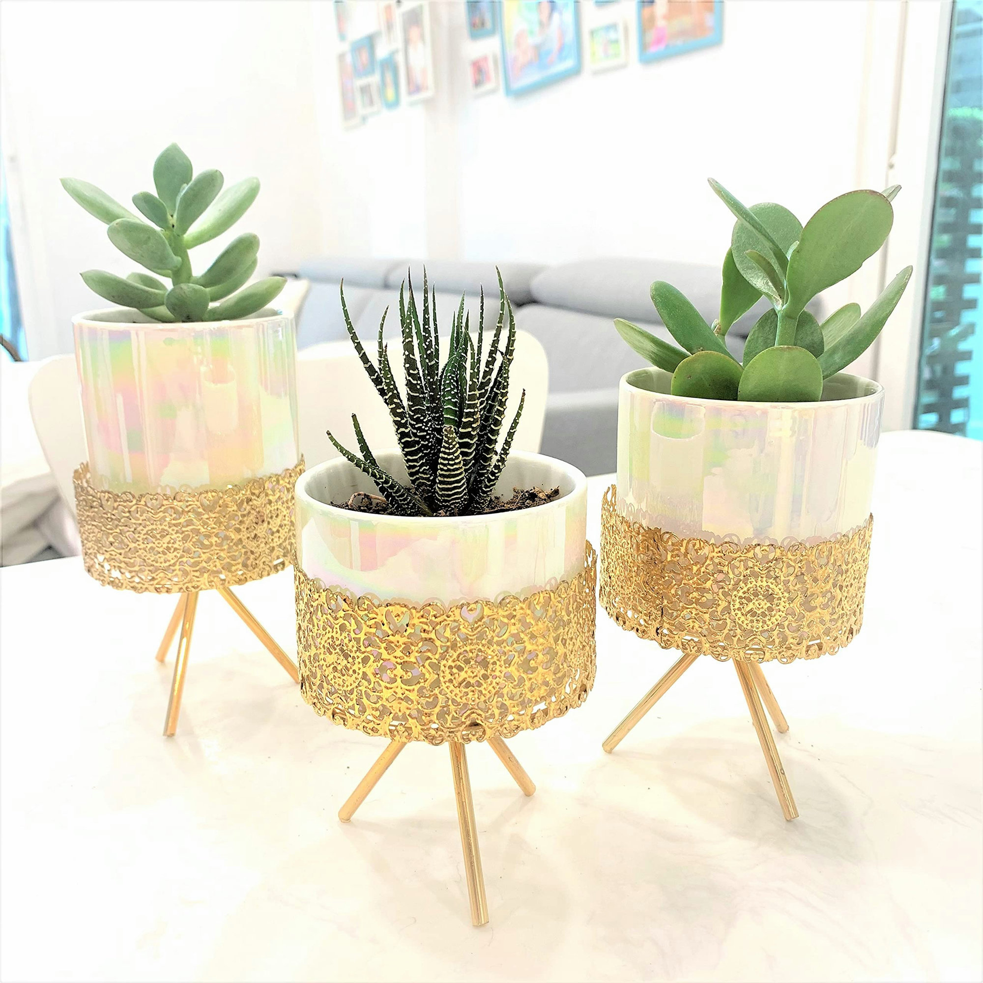 Plastic Mini Succulent Planters Small Square Pots Flower Pots Pallet And Pot New Plastic Mini Succulent Planters Small Square Pots Flower Pots Pallet And Pot New