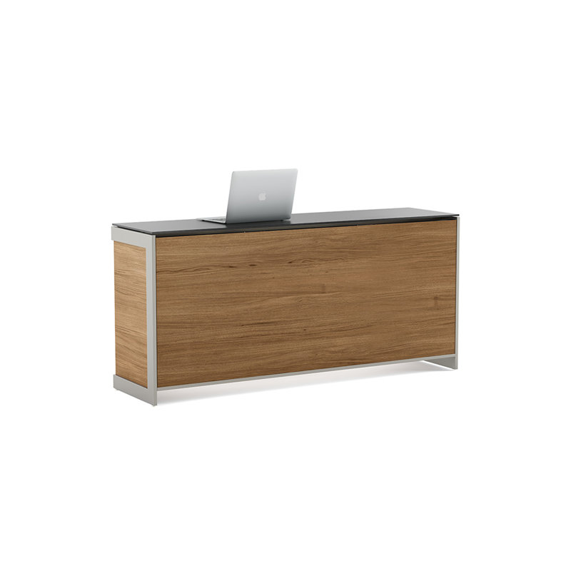 Sequel 24.5" H x 13.5" W Desk Privacy Panel