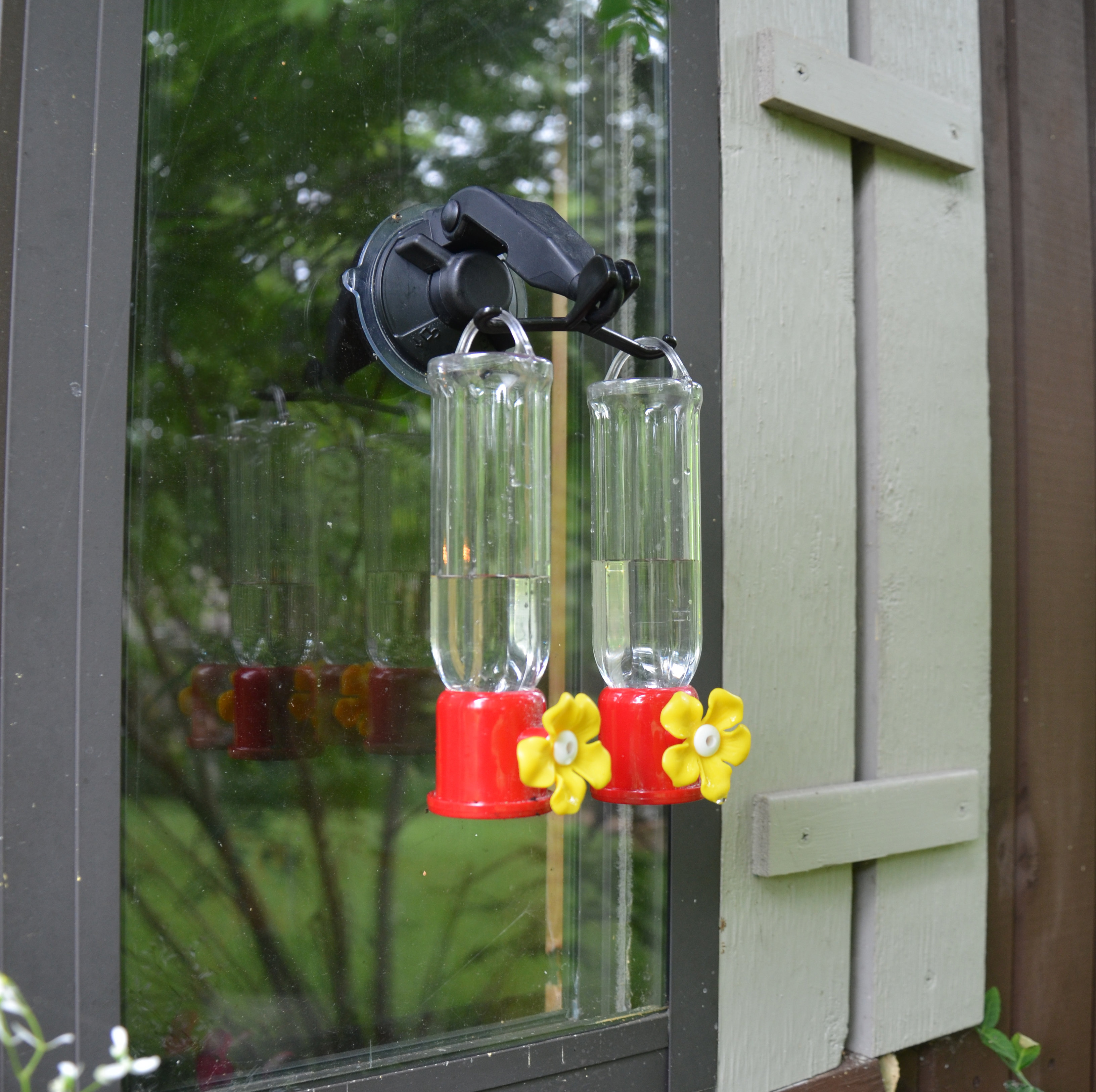 Rcs Gifts Double Window Hook Hummingbird Feeder Reviews Wayfair