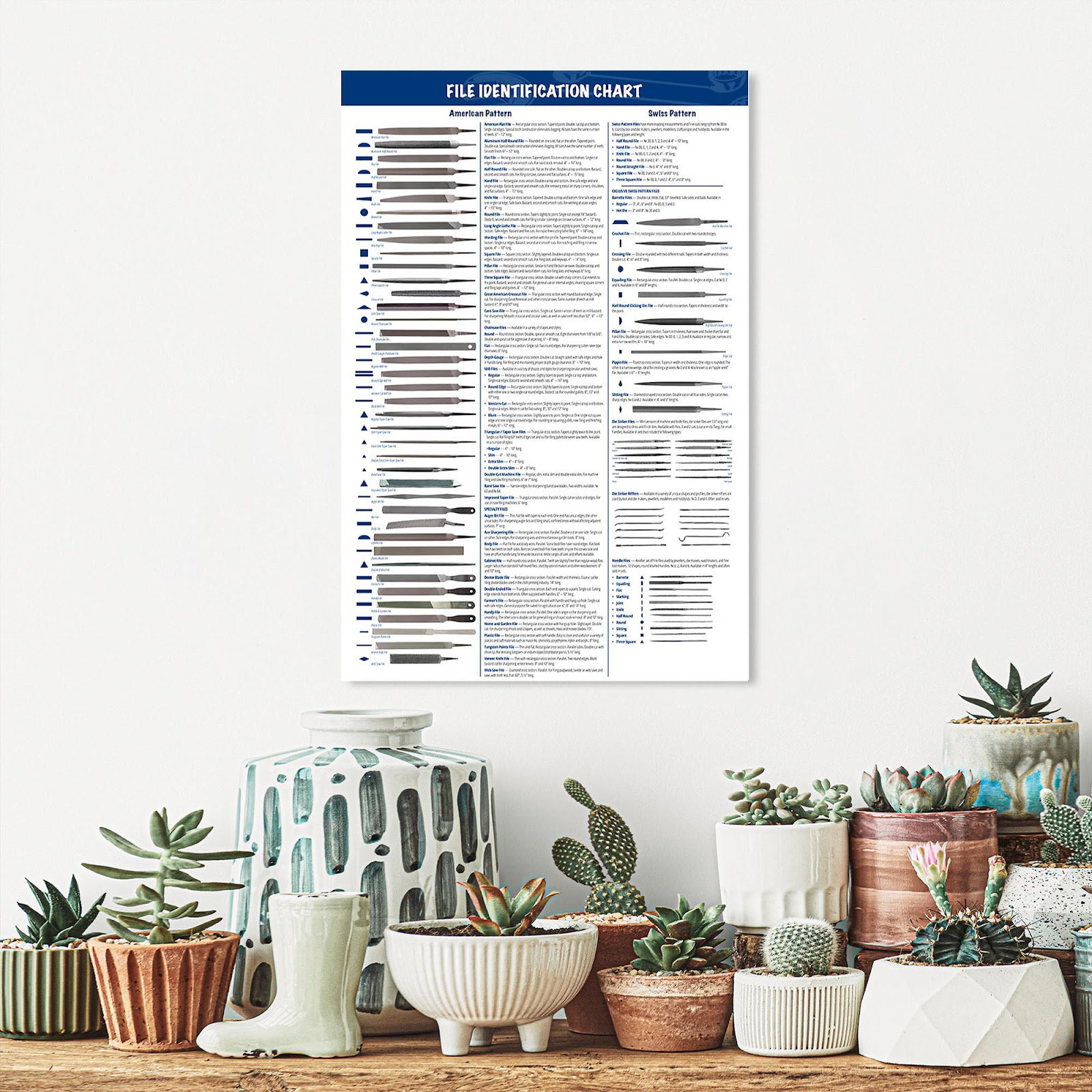 Trinx File Identification Chart 1 Piece Rectangle Grap File