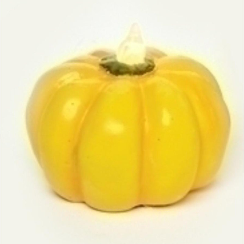 The Holiday Aisle 2 5 Led Lighted Harvest Halloween Thanksgiving Pumpkin Decoration Wayfair