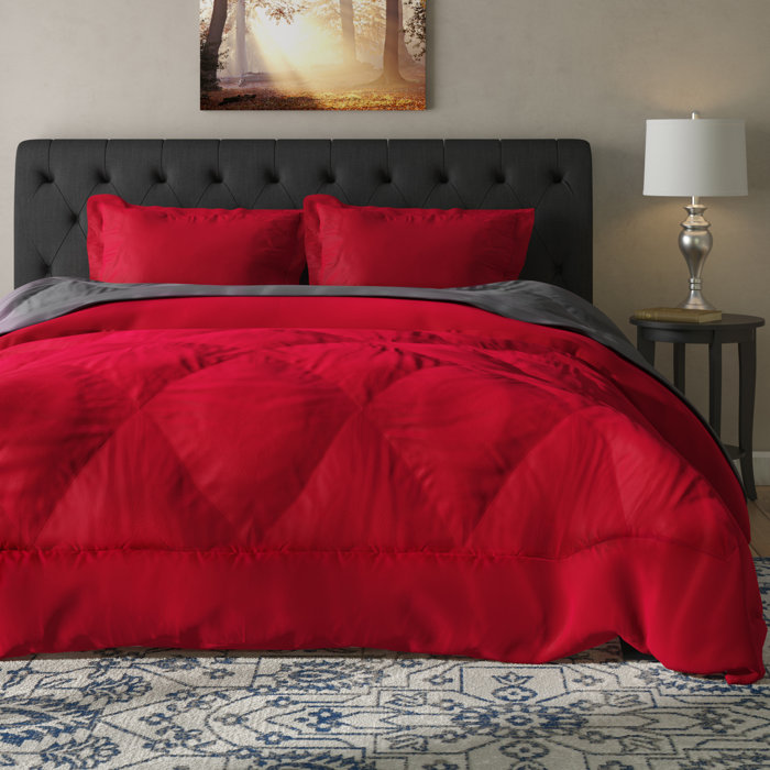 Grovelane Teen Daniella 3 Piece Reversible Comforter Set Reviews