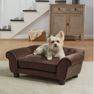 Elevated Dog Beds You Ll Love Wayfair Lonnie Cleo Dog Sofa With Cushion