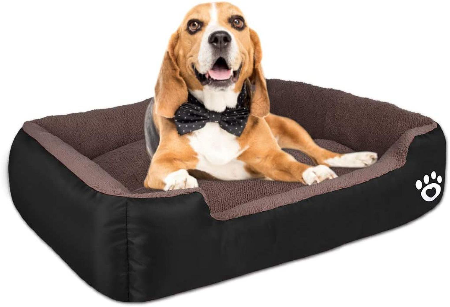 xl dog sofa