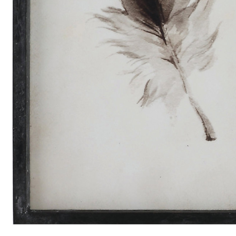 Charlton Home Englund Black White Framed Feather Wall Decor 4 Piece Picture Frame Print Set On Wood Reviews Wayfair