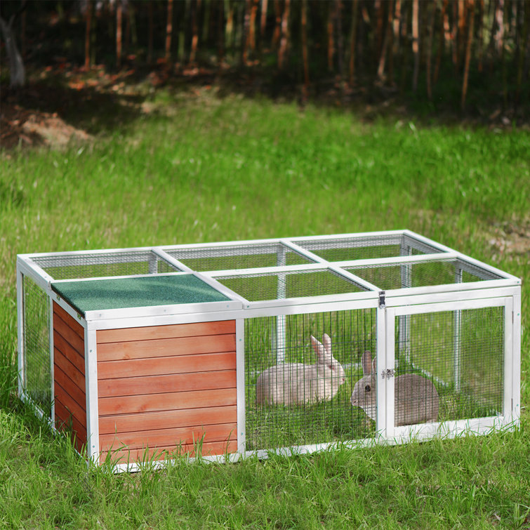 rabbit play yard