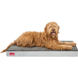 Orthopedic Memory Foam Dog Bed