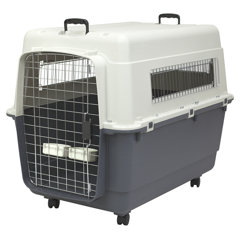 xl dog crate for sale near me
