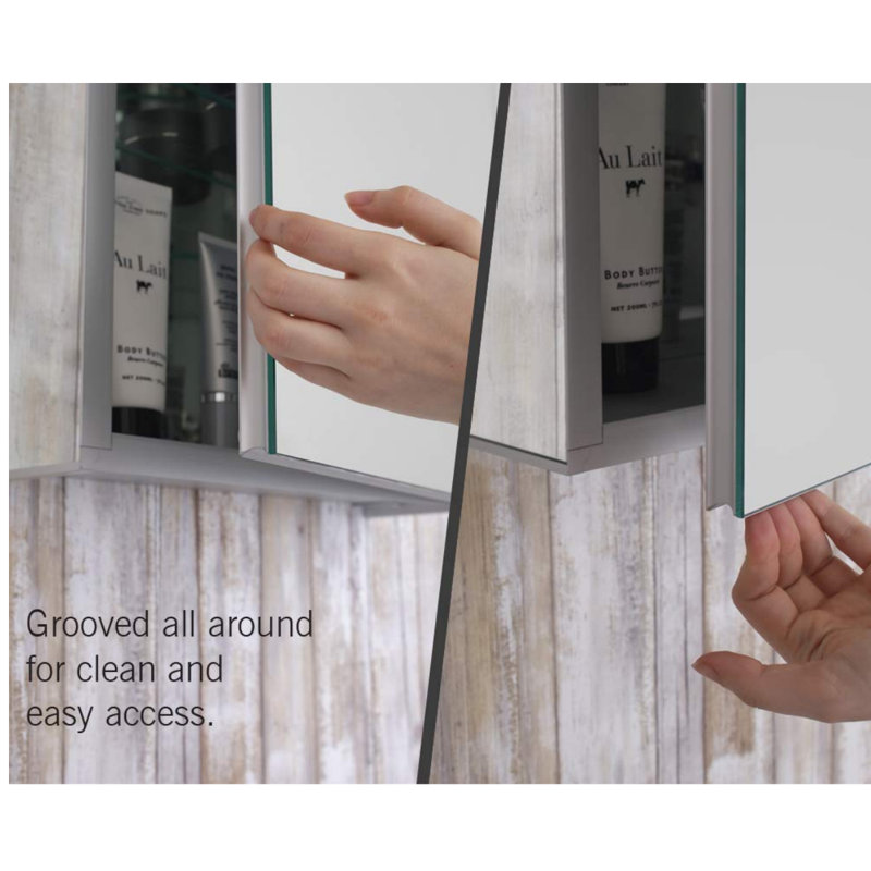 Orren Ellis Colwell 15 X 24 Recessed Or Surface Mount Frameless Medicine Cabinet With 4 Adjustable Shelves Wayfair