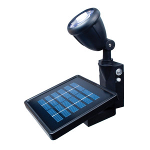 Solar Flag 1 Head LED Outdoor Spotlight