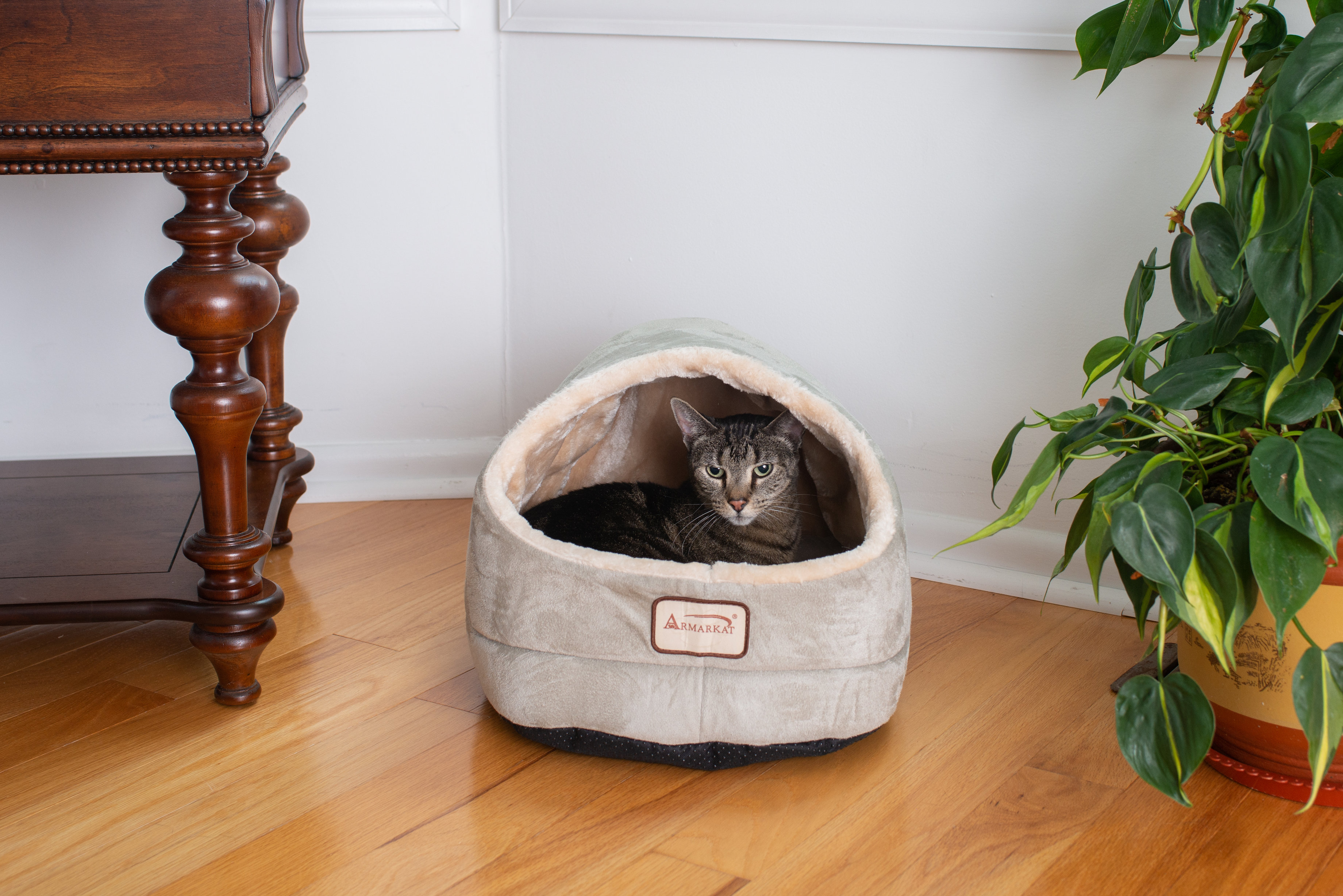 Armarkat Rectangle Cat Bed & Reviews | Wayfair