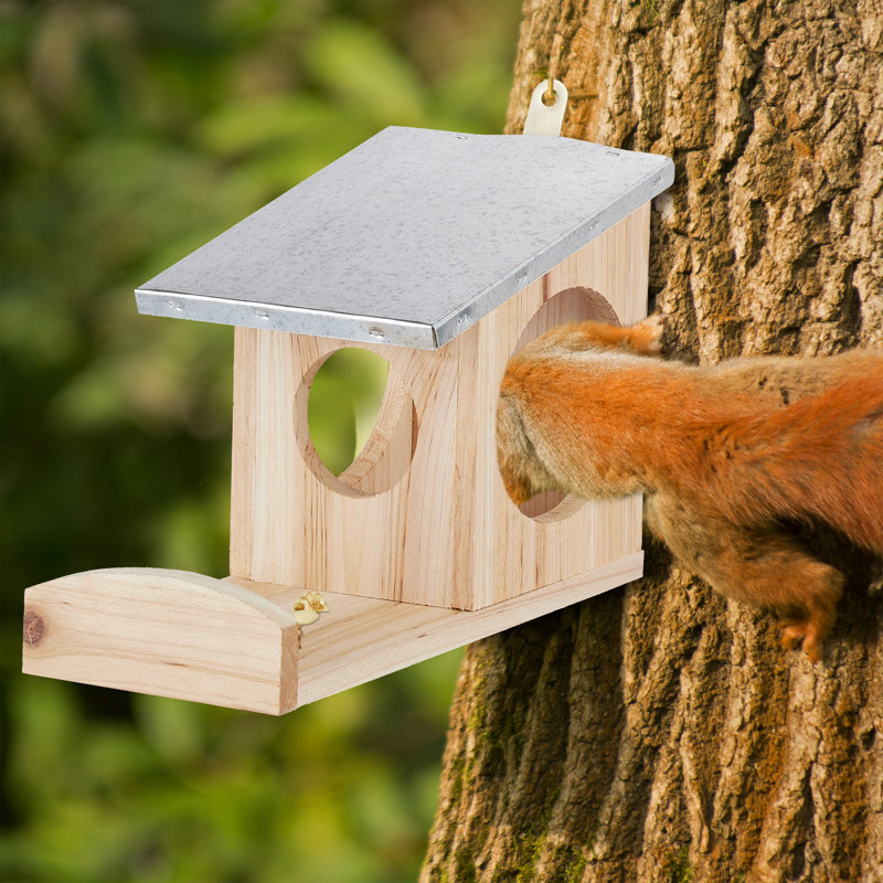 Relaxdays Squirrel Feeder Wayfair Co Uk