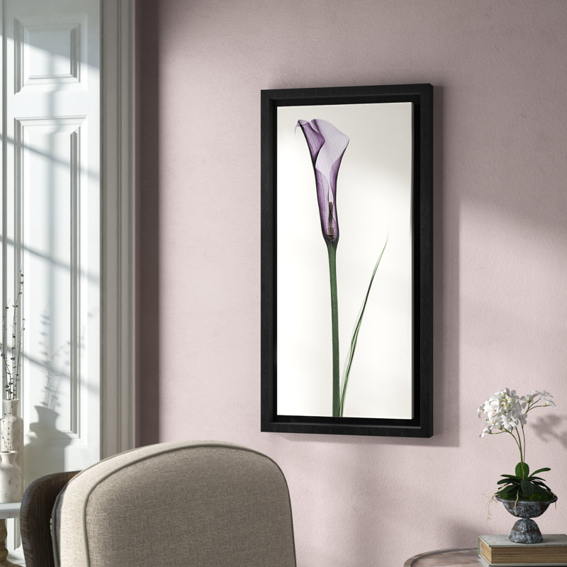 Lark Manor Calla Lily Framed Graphic Art On Wrapped Canvas Reviews Wayfair