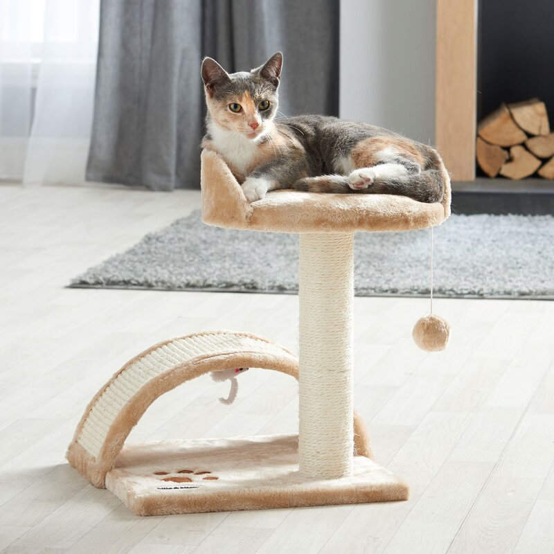 Milo & Misty Cat Bed and Scratching Post & Reviews | Wayfair.co.uk