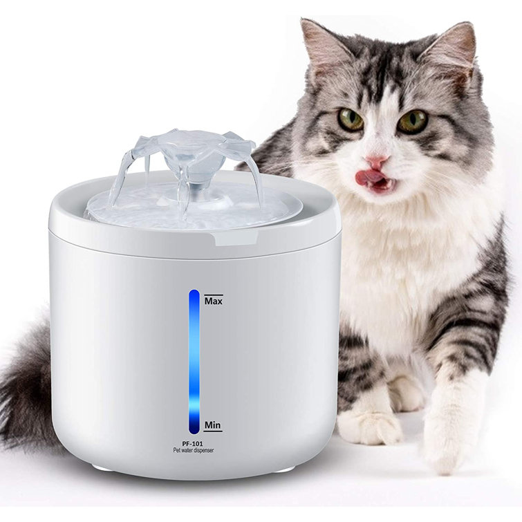 quiet pet fountain