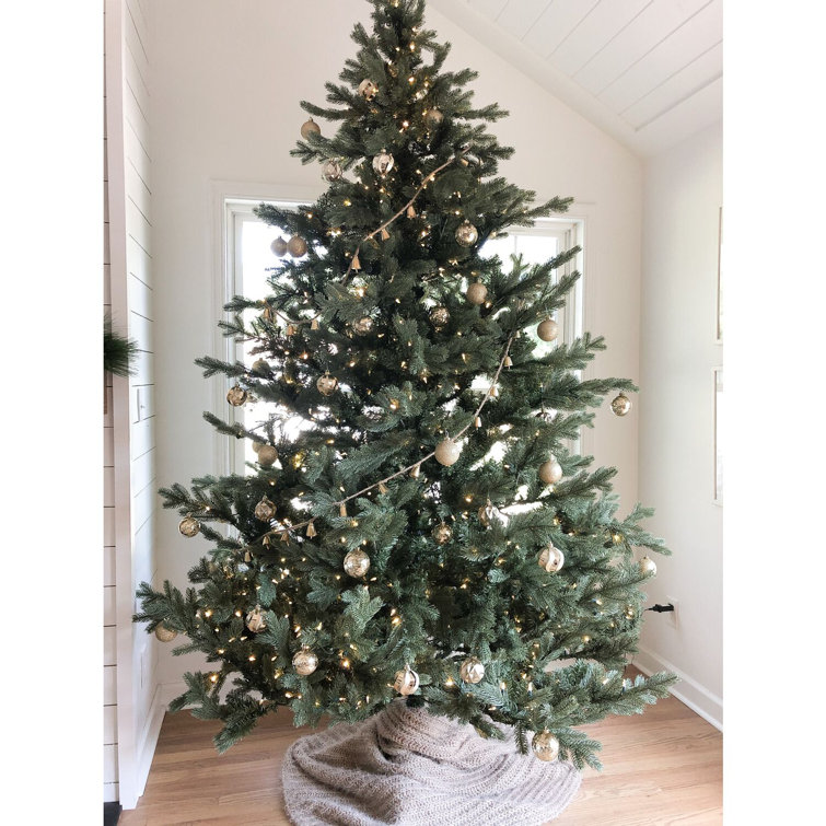 The Holiday Aisle Foxtail 7 5 Green Pine Artificial Christmas Tree With 900 Clear Lights Reviews Wayfair