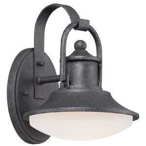 Farias 1-Light Outdoor Barn Light