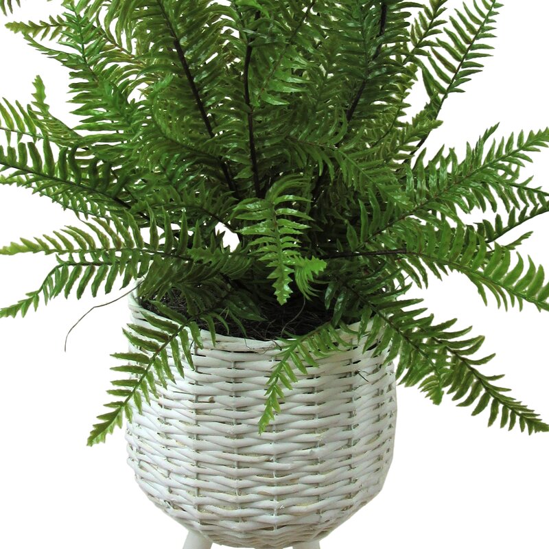 Wayfair fake plants Idea