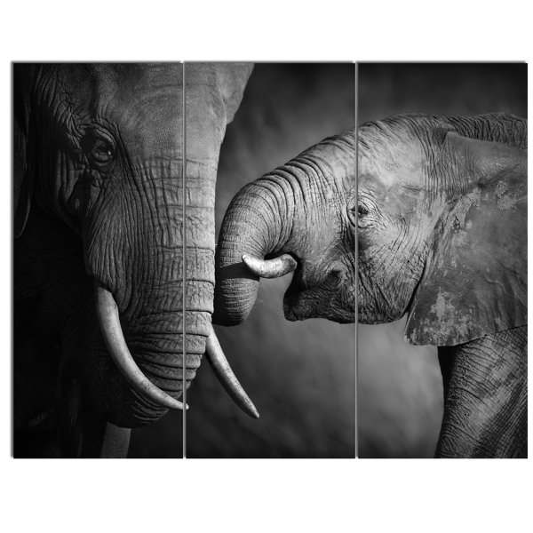 Designart Elephants Showing Affection 3 Piece Photographic Print On Wrapped Canvas Set Wayfair
