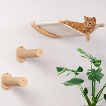cat play shelves