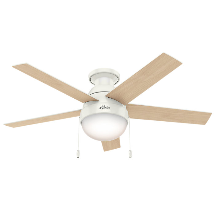 46 Anslee 5 Blade Ceiling Fan Light Kit Included