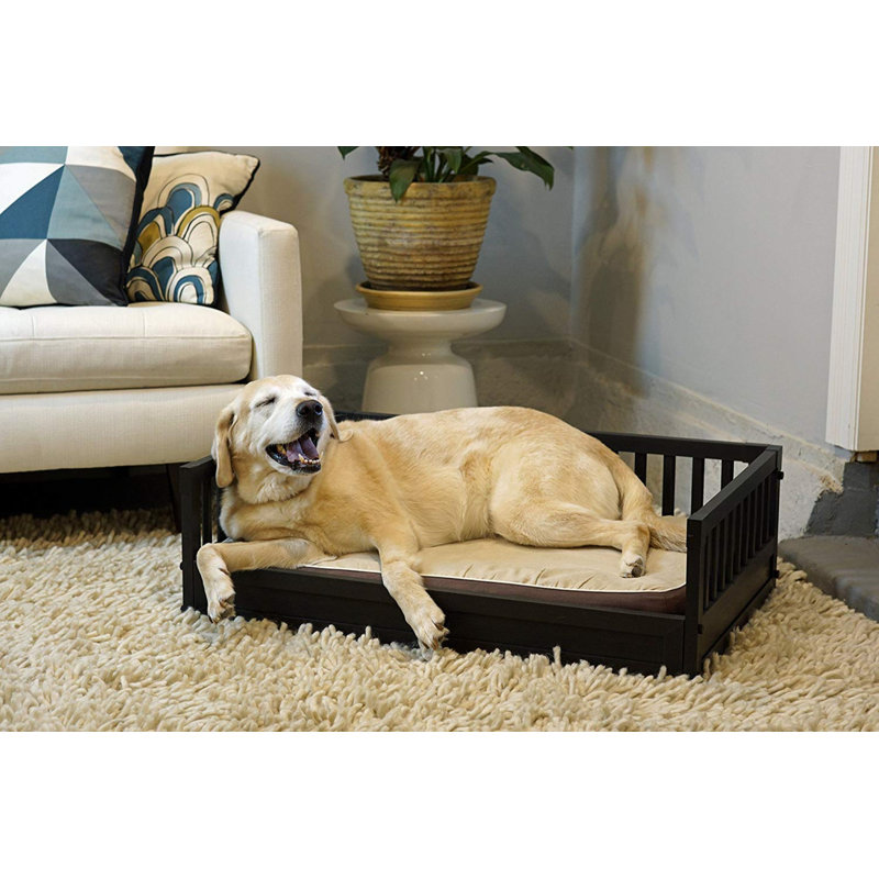 corrine dog sofa with cushion