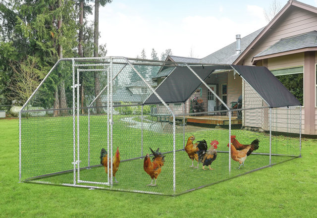 Our Best Chicken Coops
