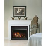 Find The Perfect 30 Inches To 39 Inches Gas Fireplace Inserts